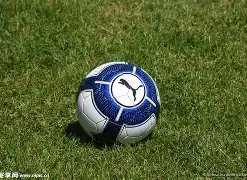 山东泰山转,会阵容,孙国文,星空体育,StarSky,星空体育网址,星空app,星空官网,星空集团