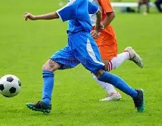 阿莫林,新星耀眼,辉煌履历,星空体育,StarSky,星空体育网址,星空app,星空官网,星空集团